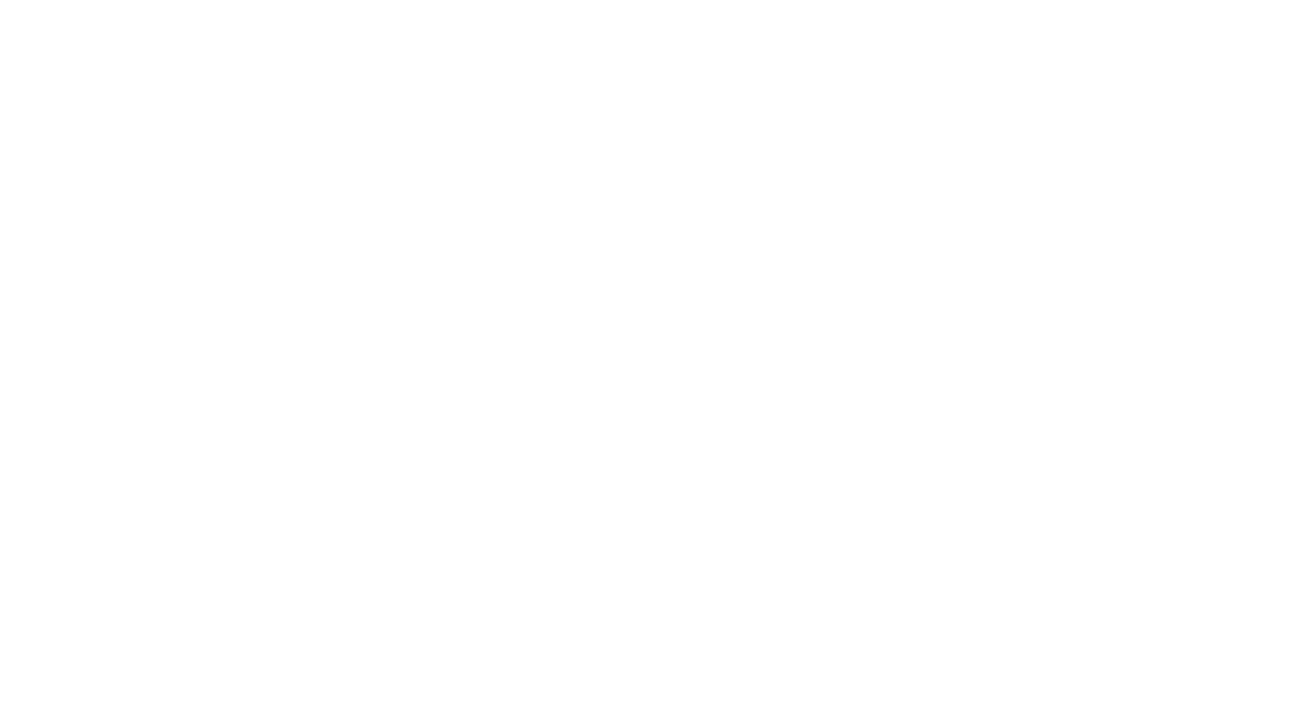 Logo DmansionRACE